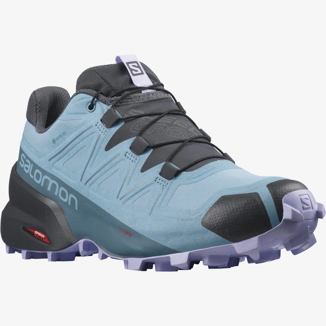 Trail running Hommes et Femmes Salomon Speedcross 5 Gore Tex